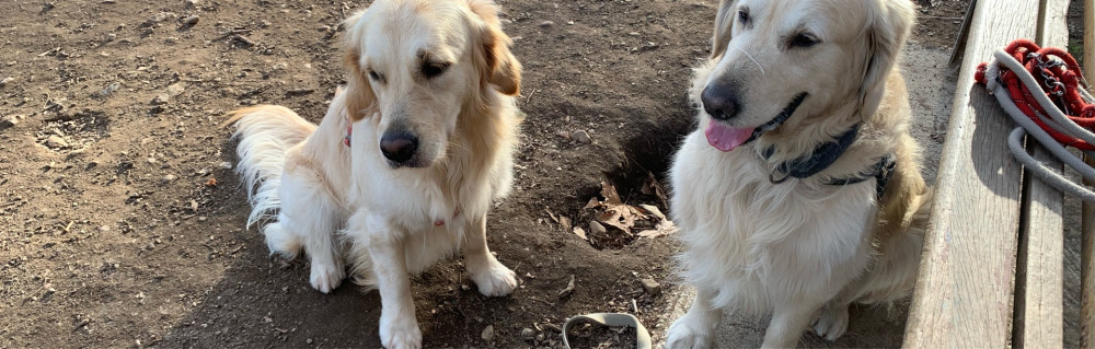 Pascal B. (Bernard services nettoyage)