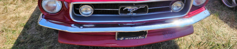 Christopher T. (Tintin services)