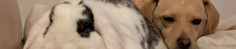 Barbara L. (Ledey Barbara)