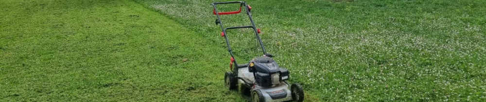 les copanis de vos jardins