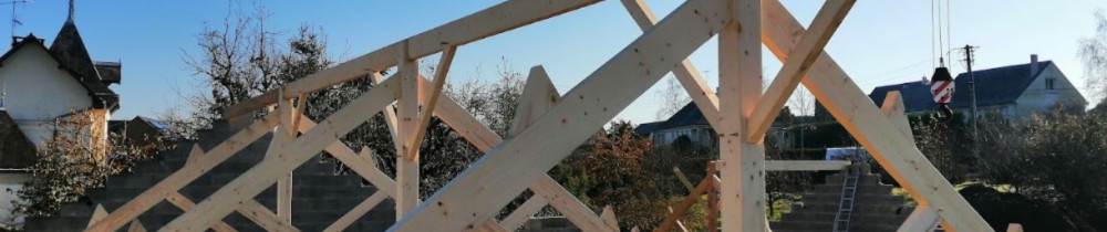 Timon M. (Martel Construction Bois)