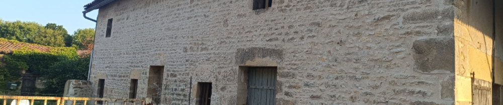 David P. (David Palain)