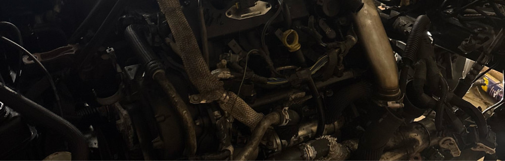 Yoann Julie R. (Dom&Co)