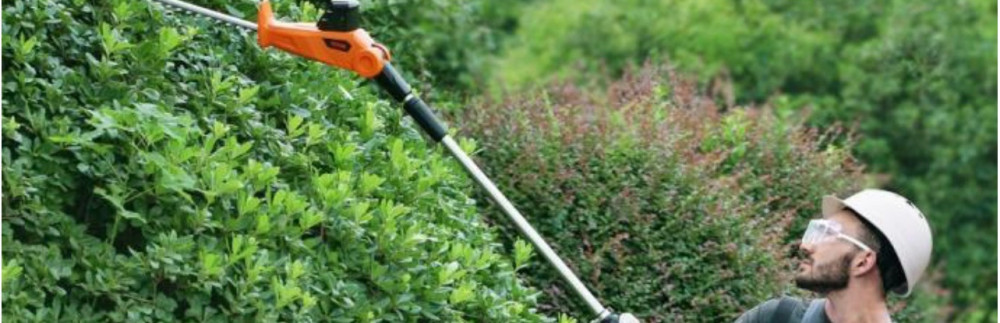 Mickaël S. (M.S entretien parcs et jar...