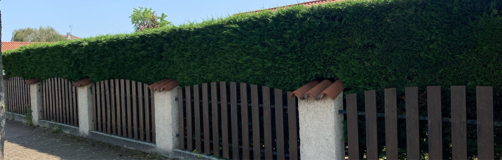 prestation de service