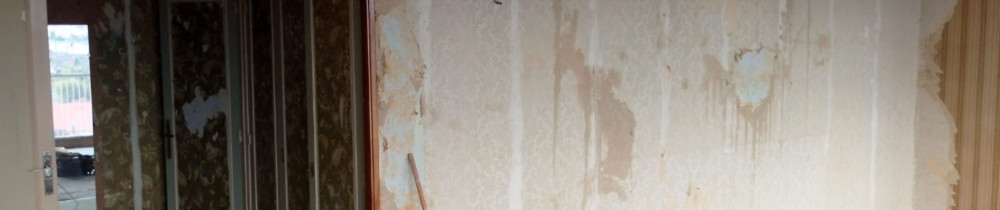 Rénodéco P. (RENODECO+)