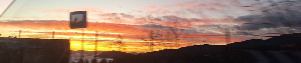 Julie P. (la tribu de juleye)