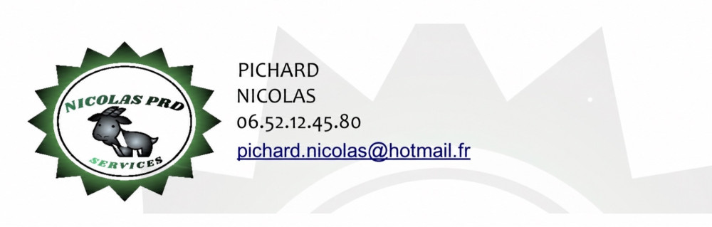 Nicolas P. (Prd services)