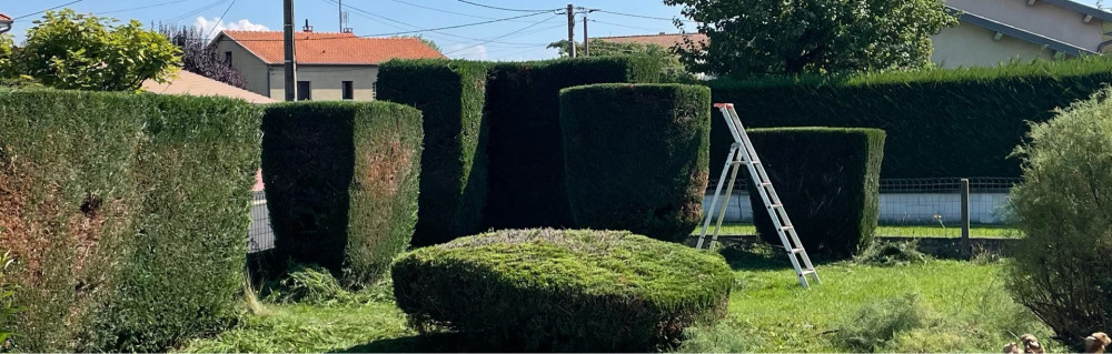 Matthias T. (Matt Reno service)