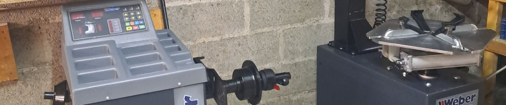 Anjo S. (anjo sauvage)