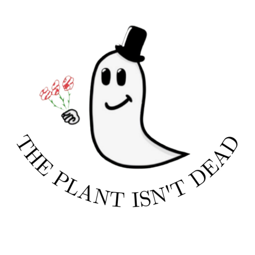 Steve L. (The Plant Isn’t Dead)