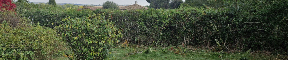 Benjamin J. (LJ multiservices)