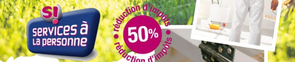 Dylan R. (DR multiservices)