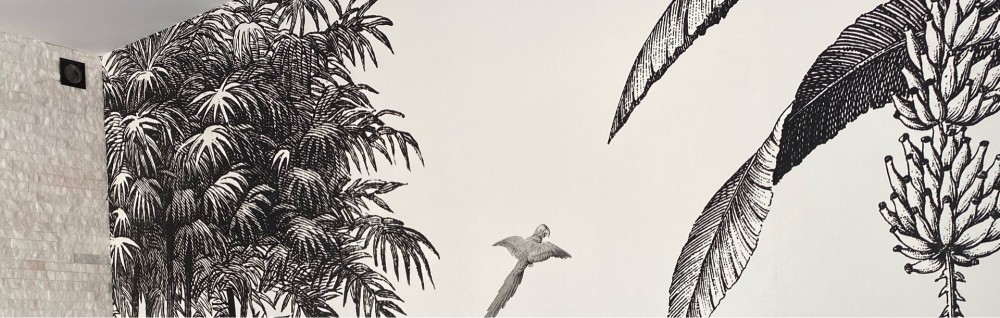 Wilfried M. (m will pro 45)