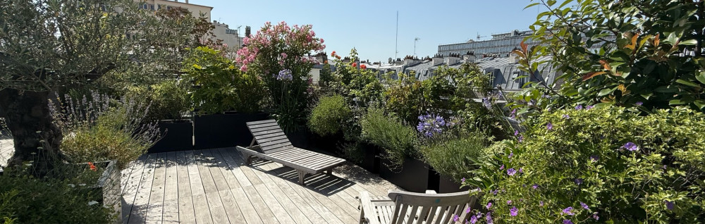 Bilal B. (Vert & Rose)