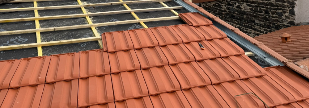 Wellon F. (ReNovaPro)