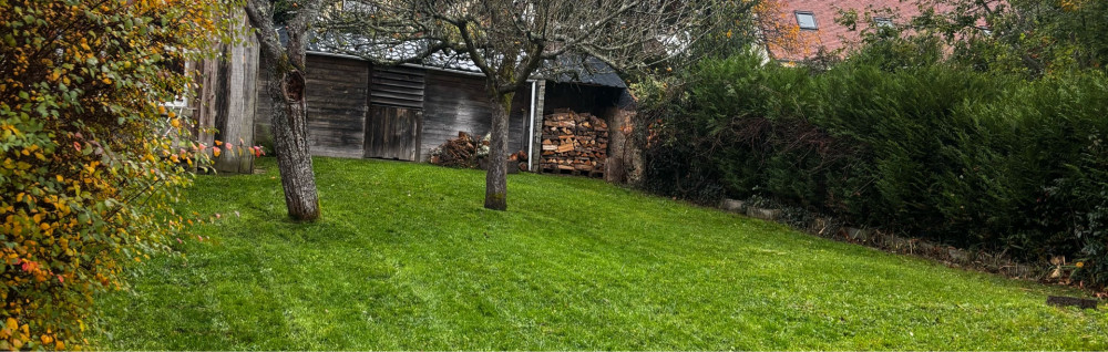 Lecourt L. (professionnel)