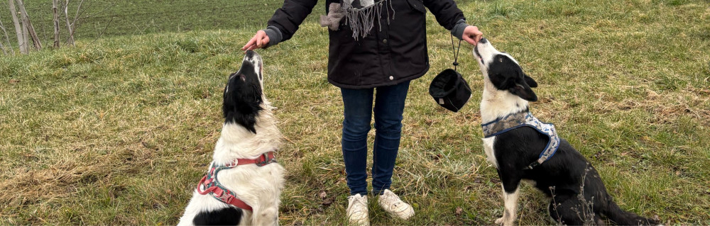 Elodie C. (Elodie Carpentier)