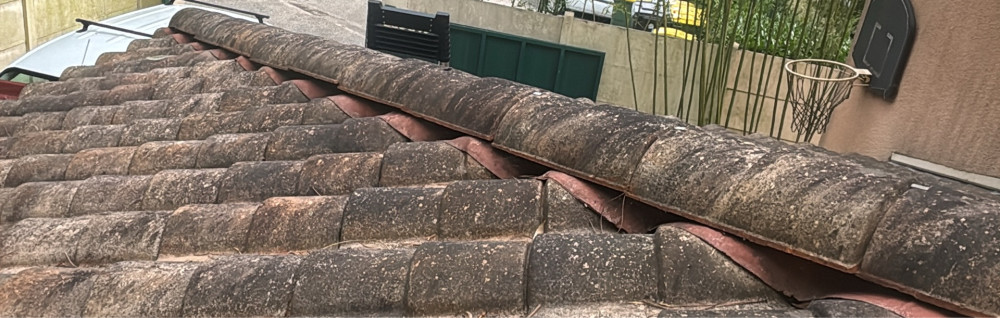 Francis H. (Espace vert)