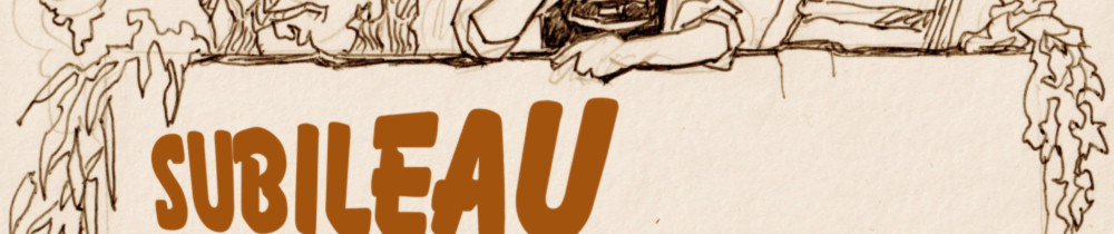 Jacques S. (SUBILEAU Multiservices)