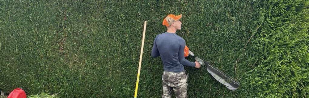 Trevis B. (Bt paysagiste)