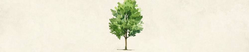 Noah T. (Nature et entretien)