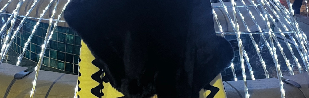 Teo Mariama S. (Lumina services)