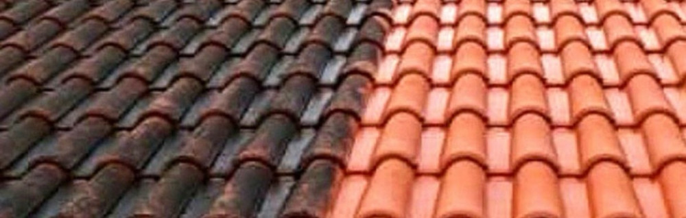 Sandy G. (GS RENOVATION 21)