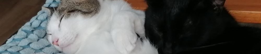 Isa K.