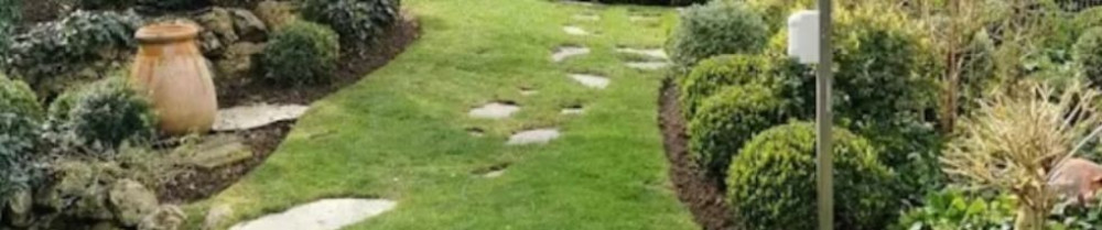 Anthony P. (Petry Anthony)