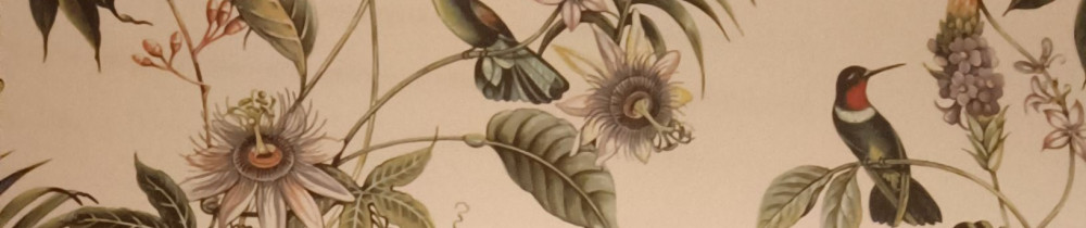 Jean Bernard M. (jbmat)