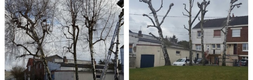 Kenzo D. (Kenzo Dupré)