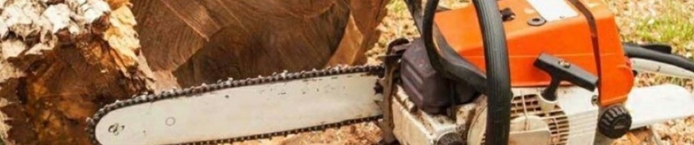 Marcel (aubert espace vert)