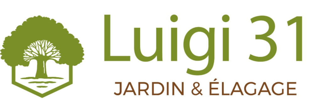 Luigi Z. (Luigi 31)