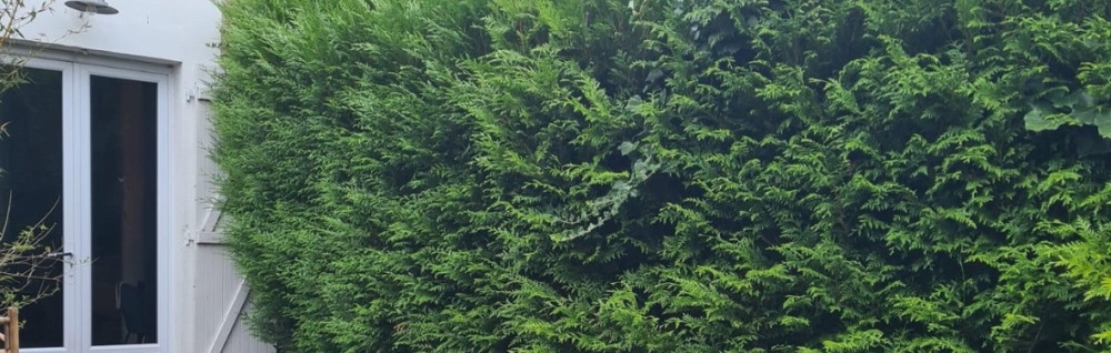 Curtis H. (Jardinier, paysagiste)