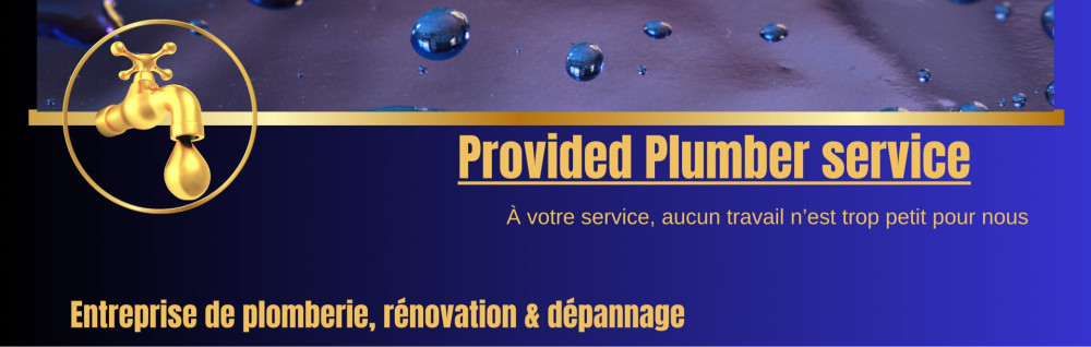 PROVIDED PLUMBER SERVICE