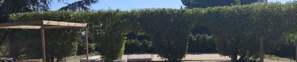 Cédric B. (BC PAYSAGE)