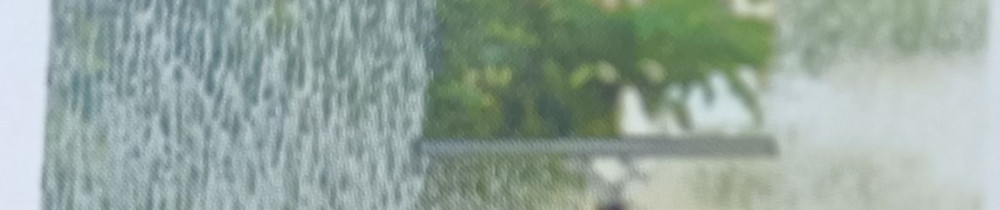 Juliette L. (juliette.l clean nettoyag...