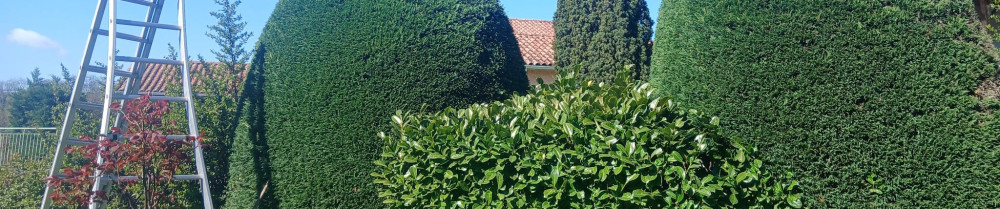 Jean-Pierre M. (Élagueur)