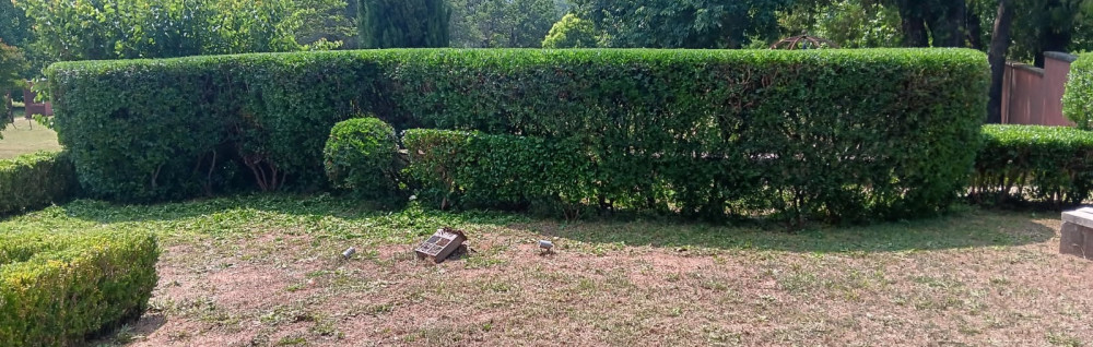 Robin S. (RS Parcs Et Jardins)