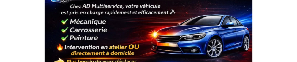 Alexandre D. (AD multiservice)