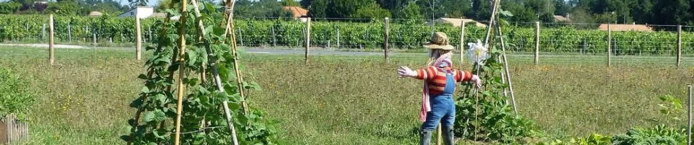 Rémi M. (Baies & Potager)