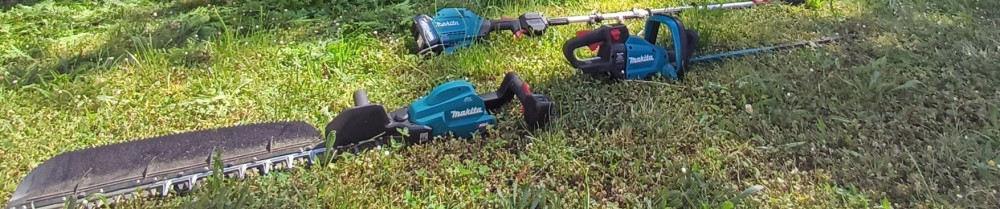 Clement S. (Saves Services)