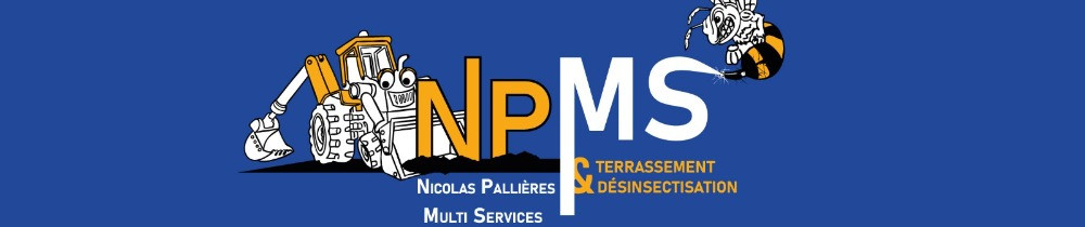 NPMS NICOLAS PALLIERES MULTI SERVICES