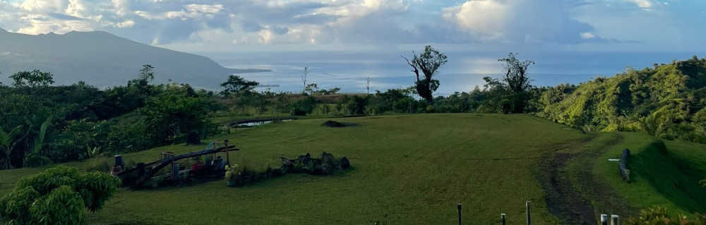 Kylian Y. (Y Multiservices)