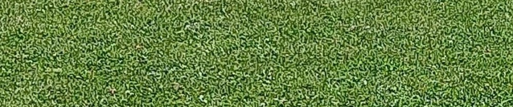 Cedric G. (Cedric.elecplus)