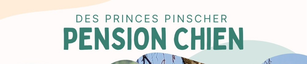 Chloe L. (Des princes pinscher)