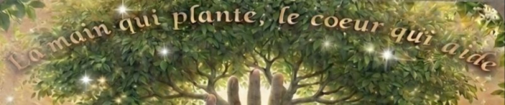 Ludovic G. (L'outil Du Coeur, L'harmon...
