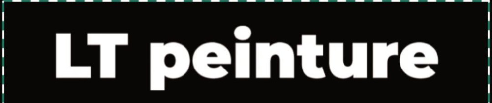 Mickaël M. (LT peinture)