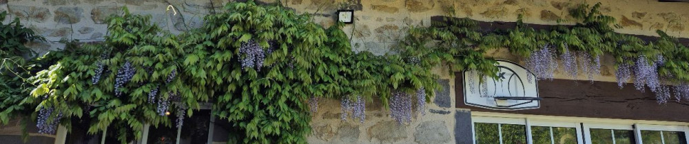 Loïc D. (Irys entretien services)